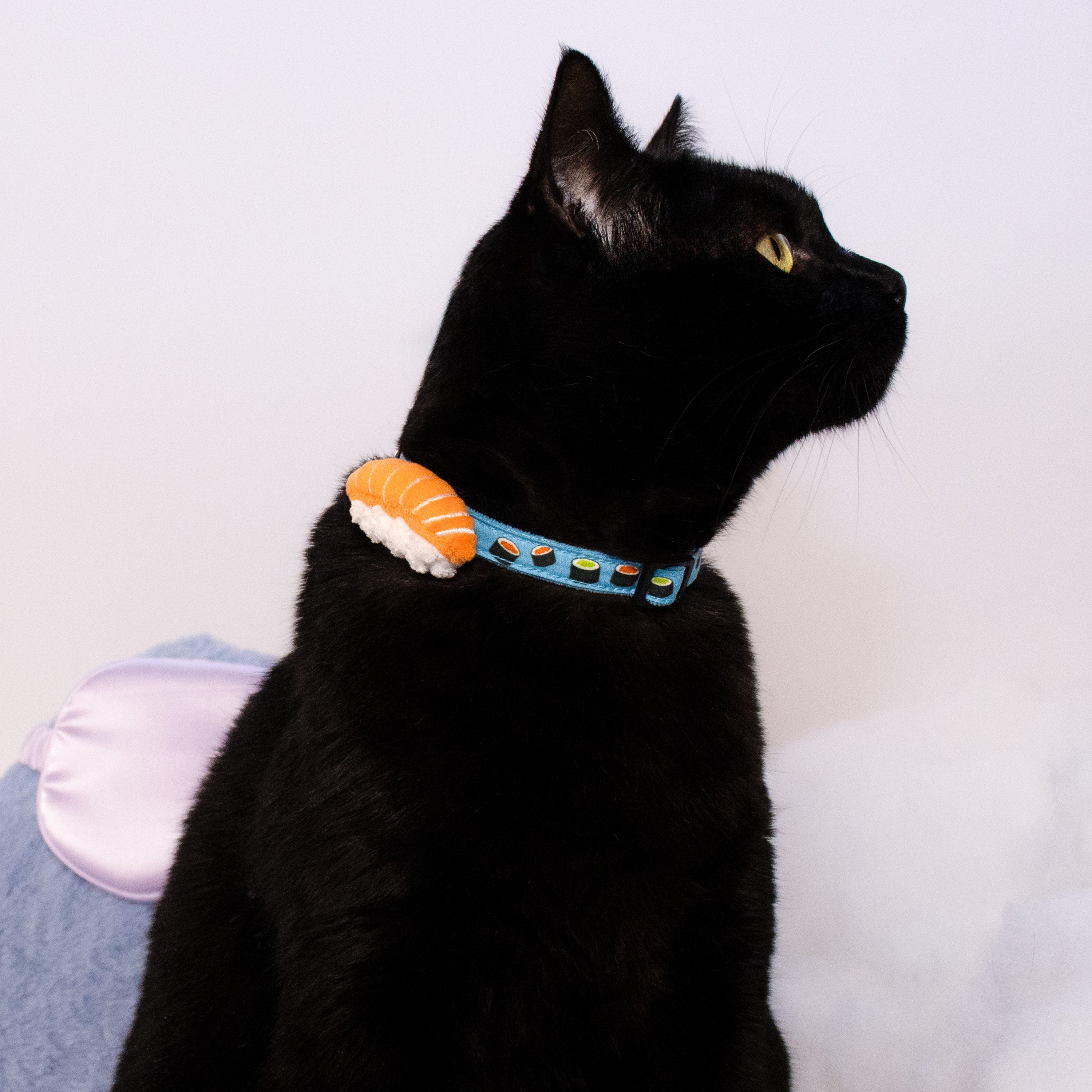 The Sushi Collar
