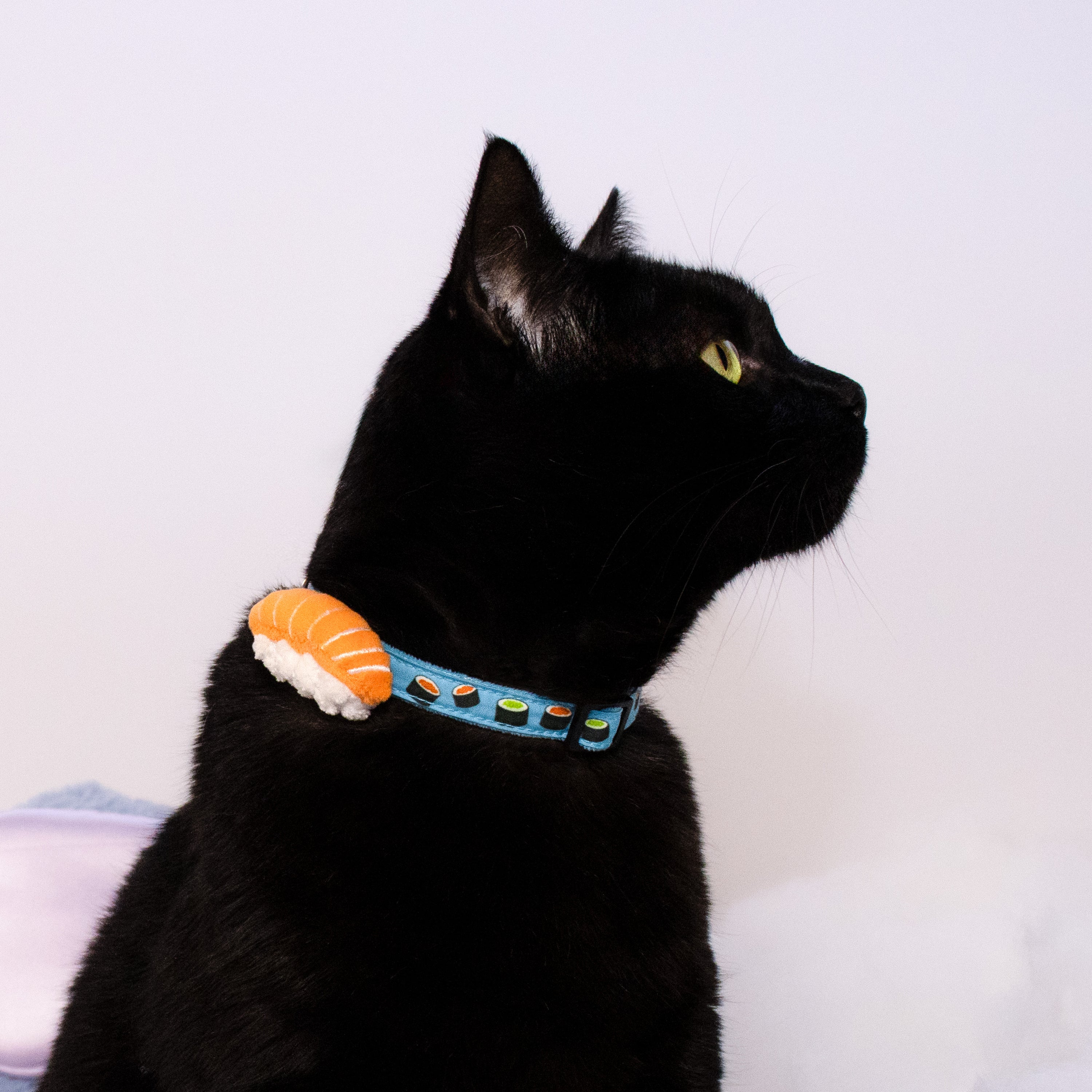 The Sushi Collar