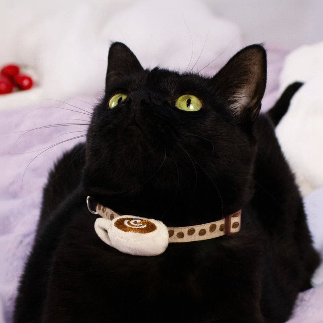 The Coffee Collar